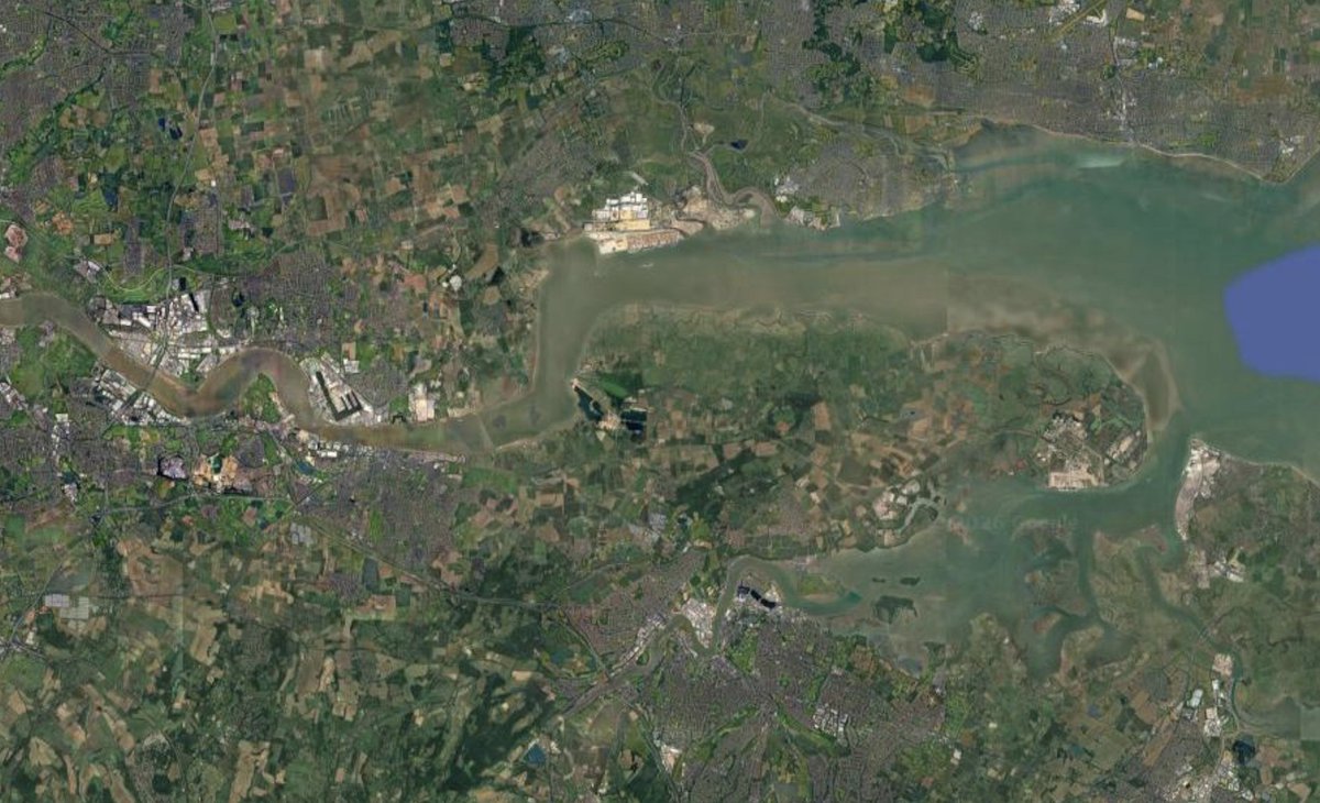 Liberite 🔶 🇪🇺 tweet media