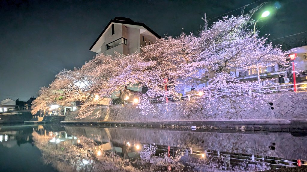 ＠ナマコ🌸 tweet media