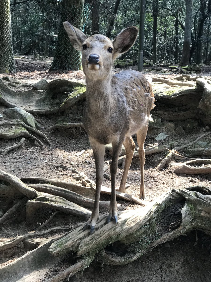 jackmcjp79 tweet media