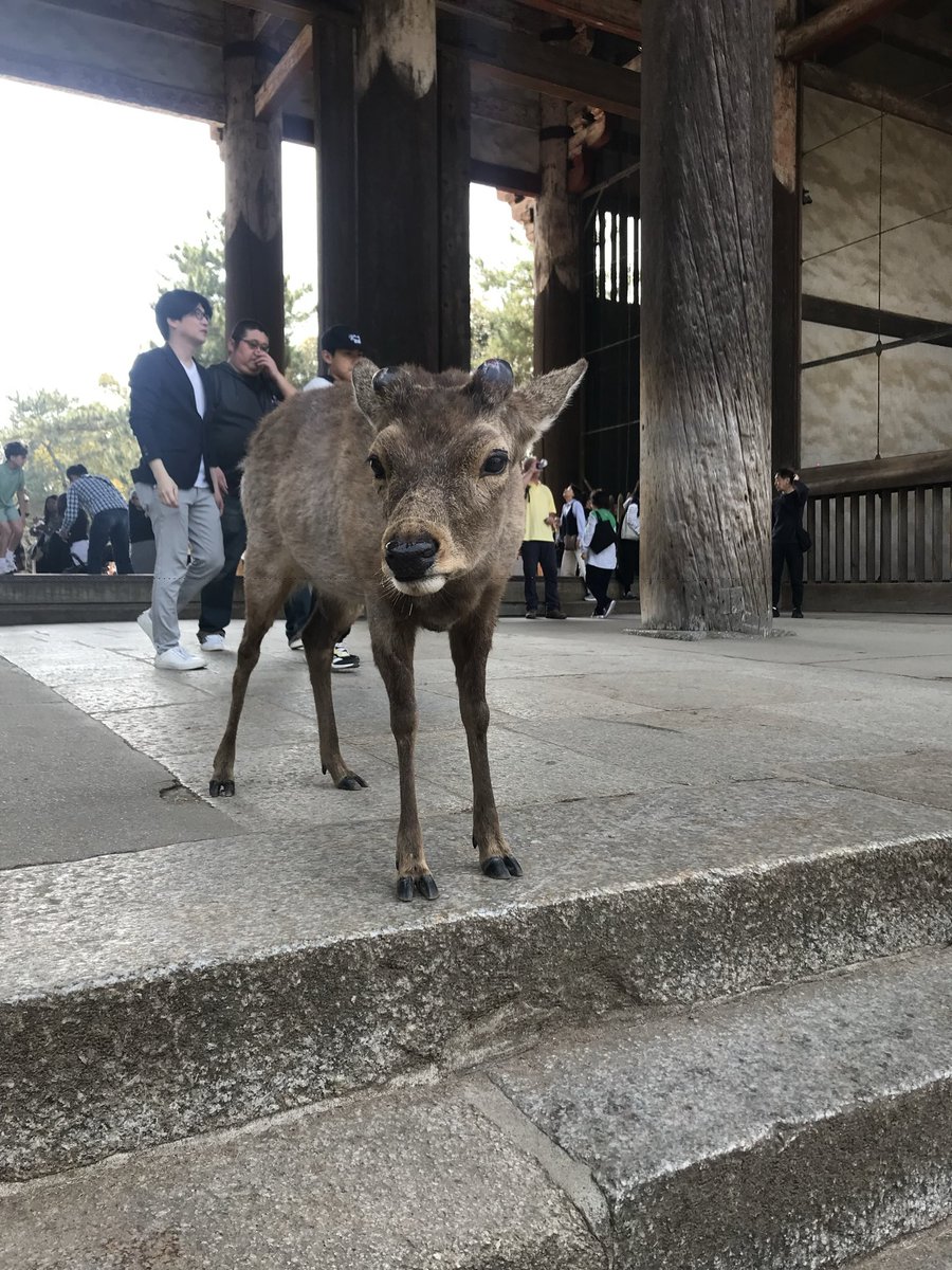 jackmcjp79 tweet media