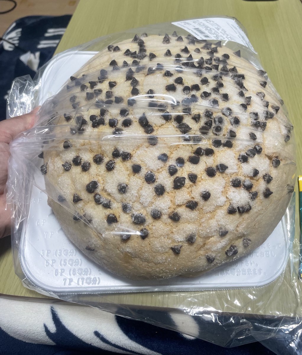 ナゴレプでのお買い物①
刈谷で買ったでっかいメロンパン