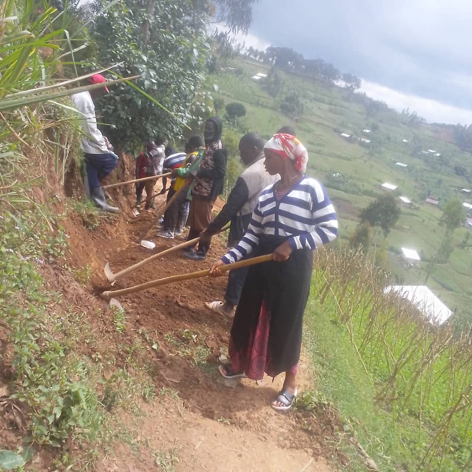 GACACA SECTOR tweet media