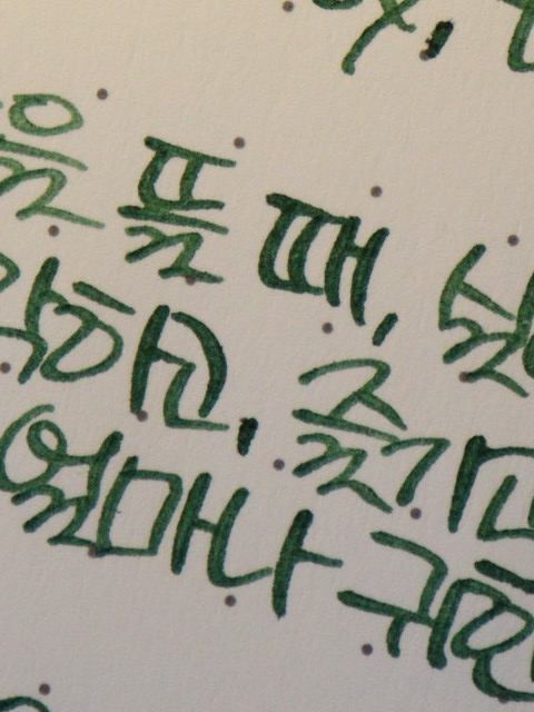 🌿 상록의정 tweet media