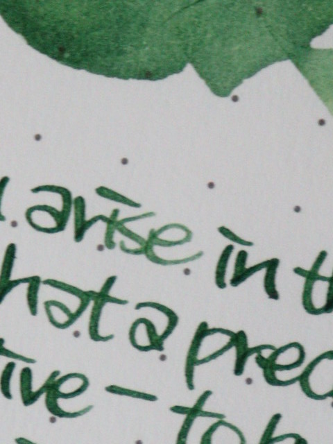 🌿 상록의정 tweet media