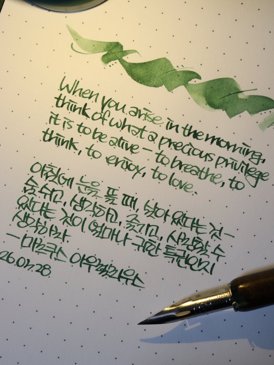 🌿 상록의정 tweet media