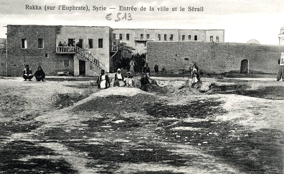 jaret alaassi tweet media