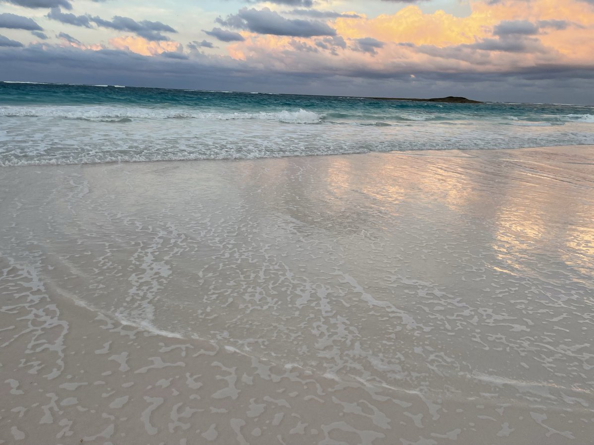 Griz Calderon tweet media