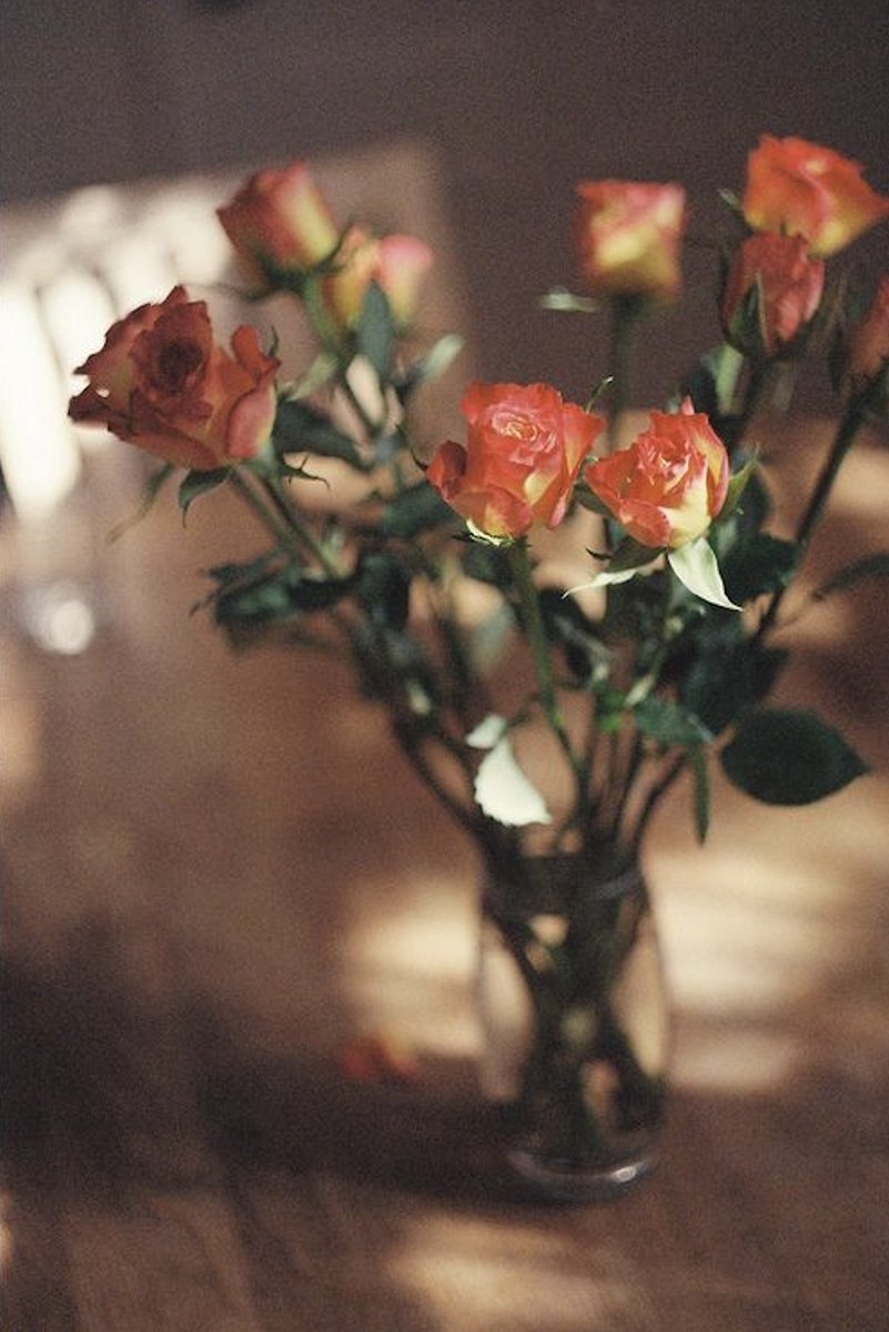 veracruz tweet media