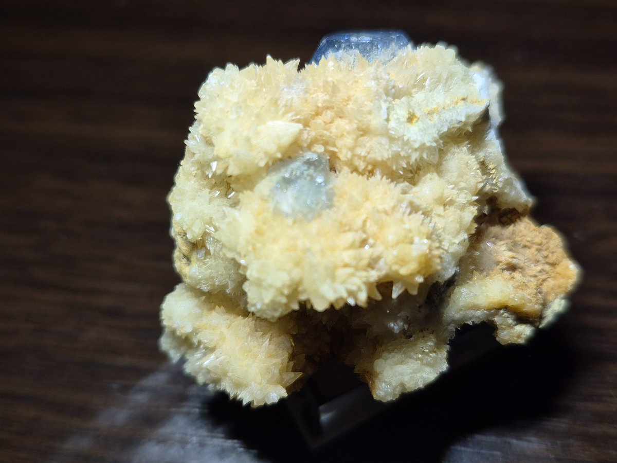 バイキングネギ 凛 tweet media