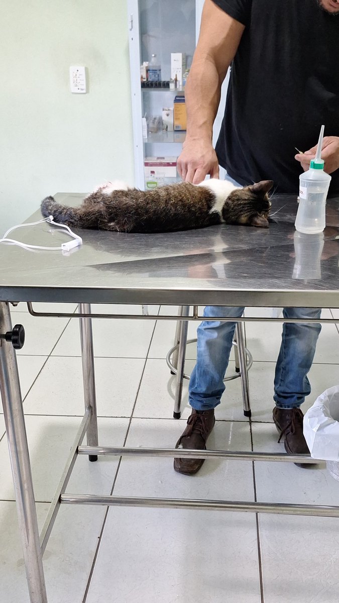 Soda!👽 tweet media