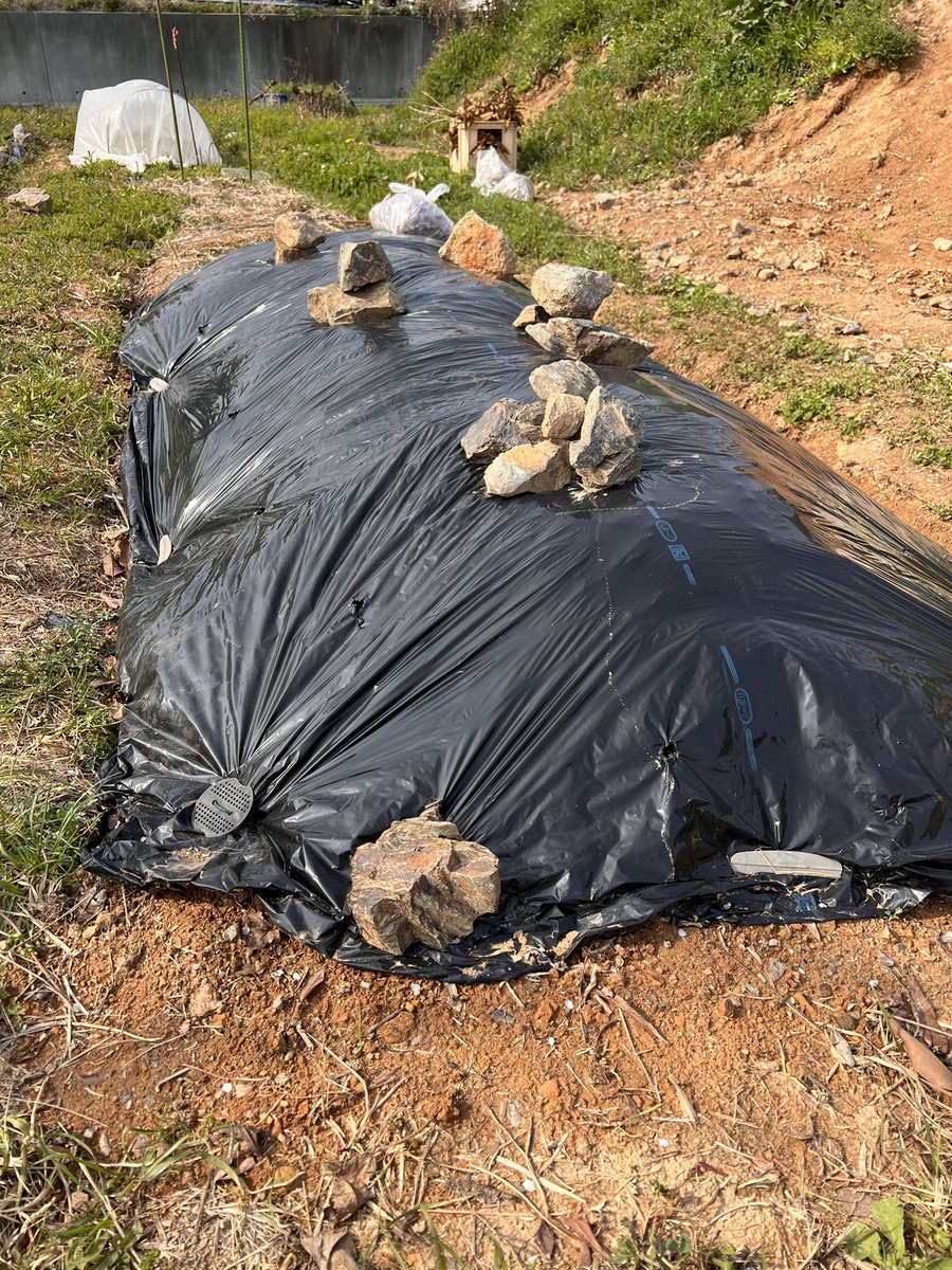 reima planet©︎ ⬣3DCG family tweet media