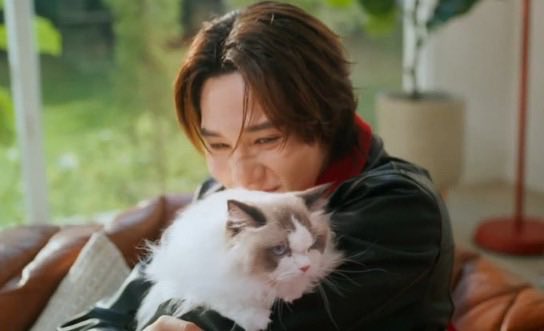 Cris ☁️🌸 tweet media