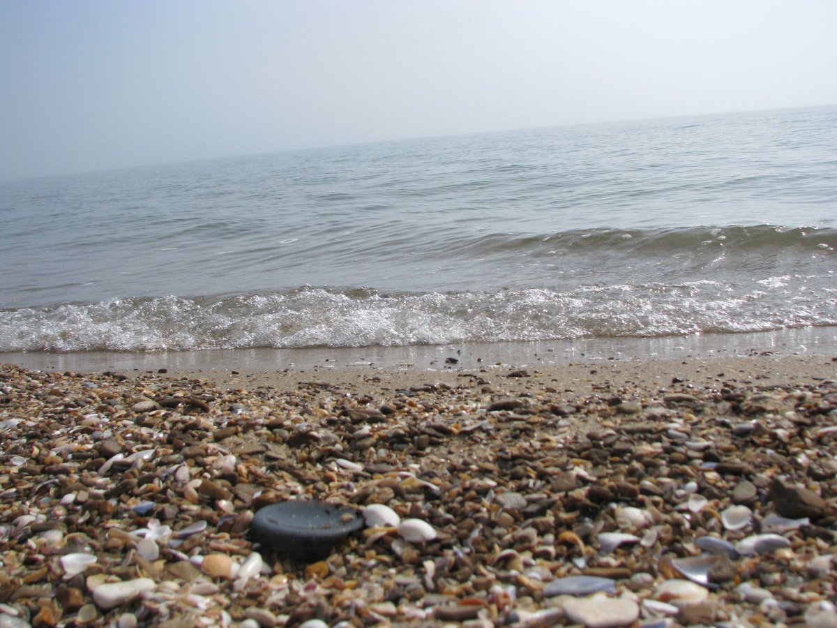 nilin 🎬 tweet media