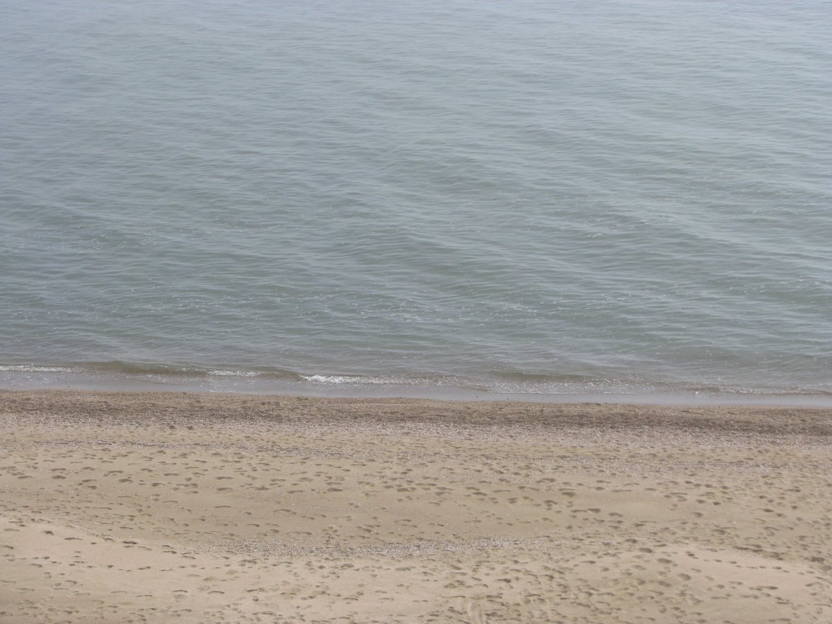 nilin 🎬 tweet media