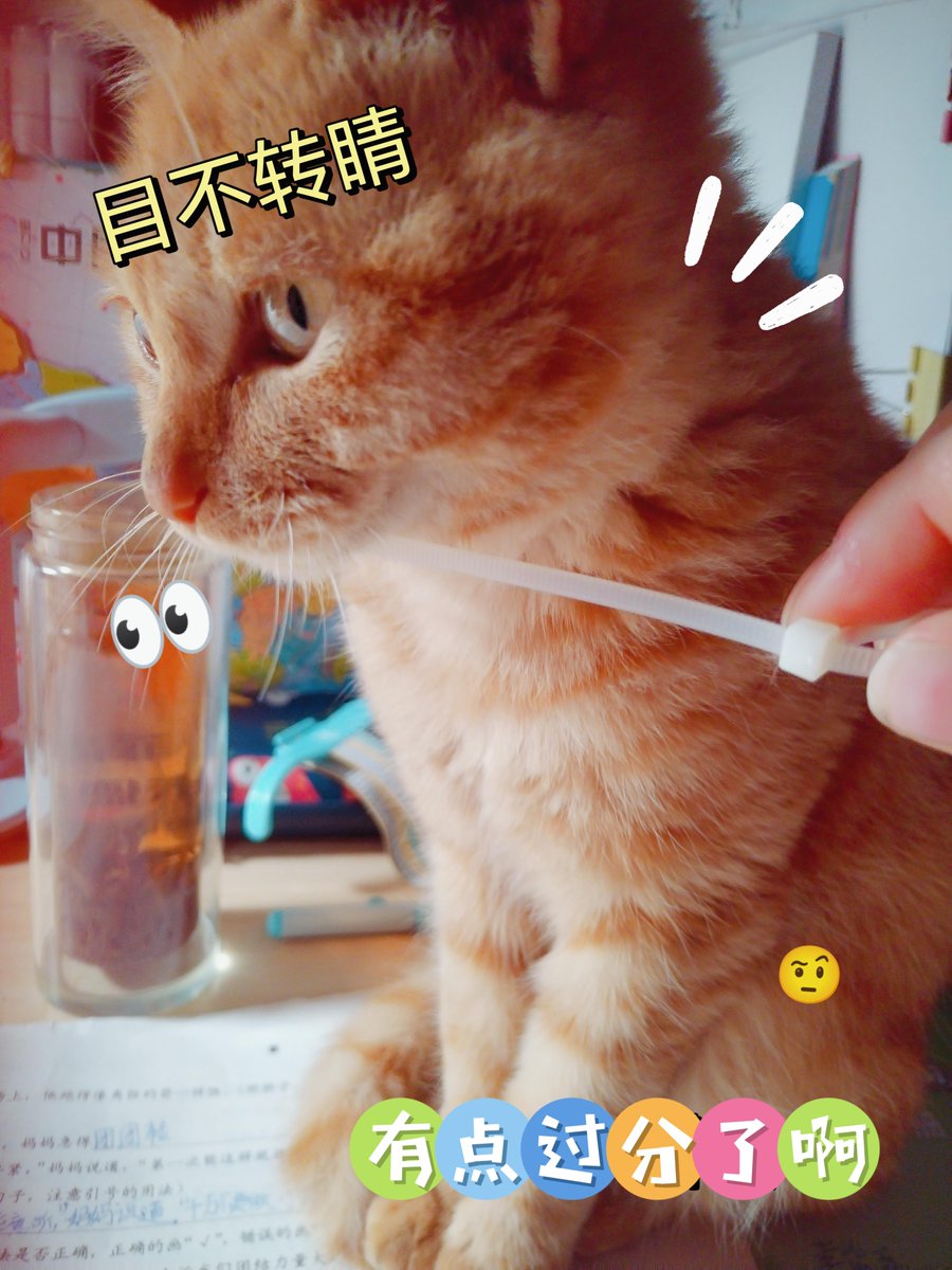 Elida Cartes tweet media