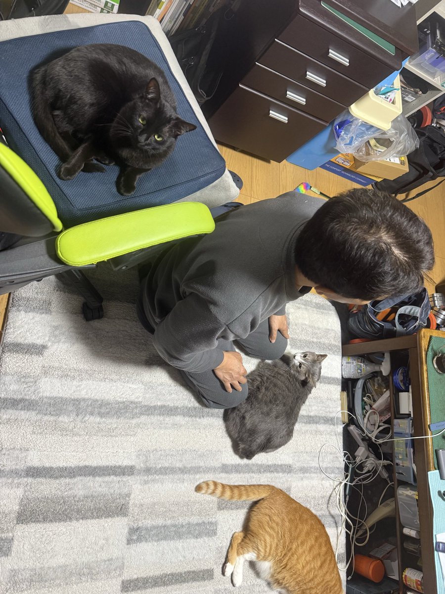 虎崎@ざっきぃ tweet media