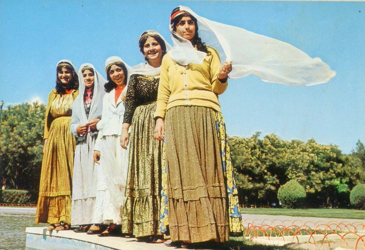 jaret alaassi tweet media