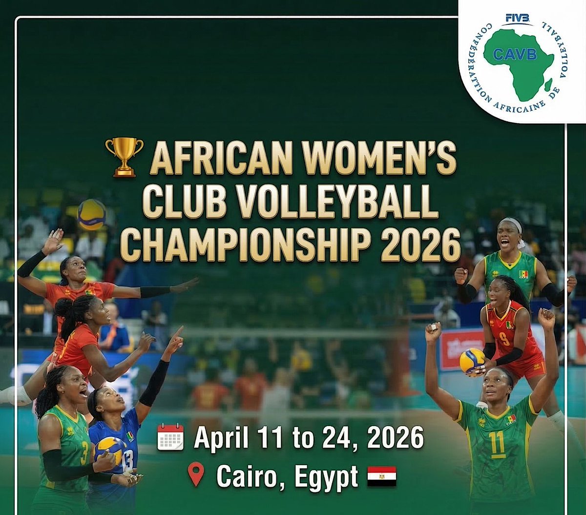 iWitness 🚦 tweet media