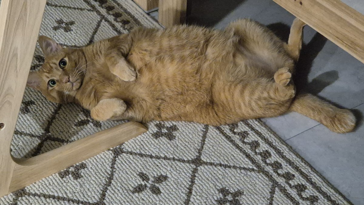 M雪🕯 tweet media