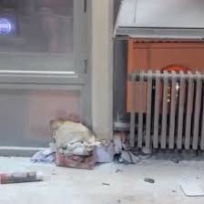 Danijel Dašić tweet media