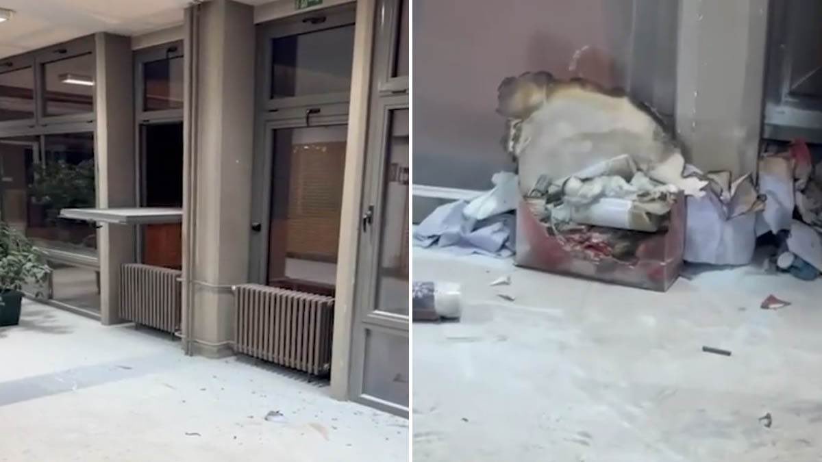 Danijel Dašić tweet media