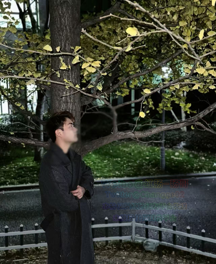 红肠征友 tweet media