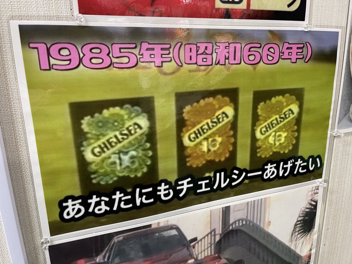 冷凍みかん tweet media