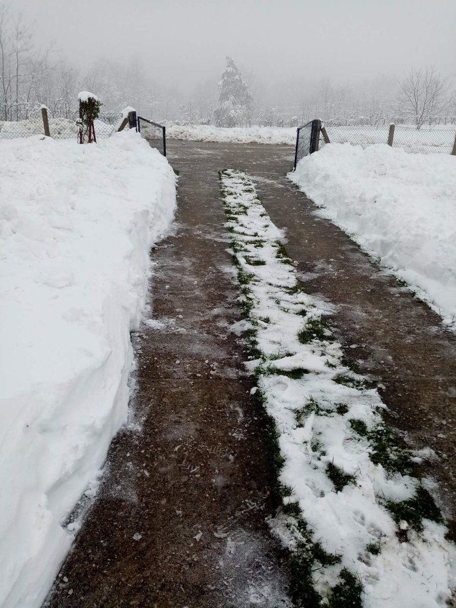 Goran Miljević tweet media