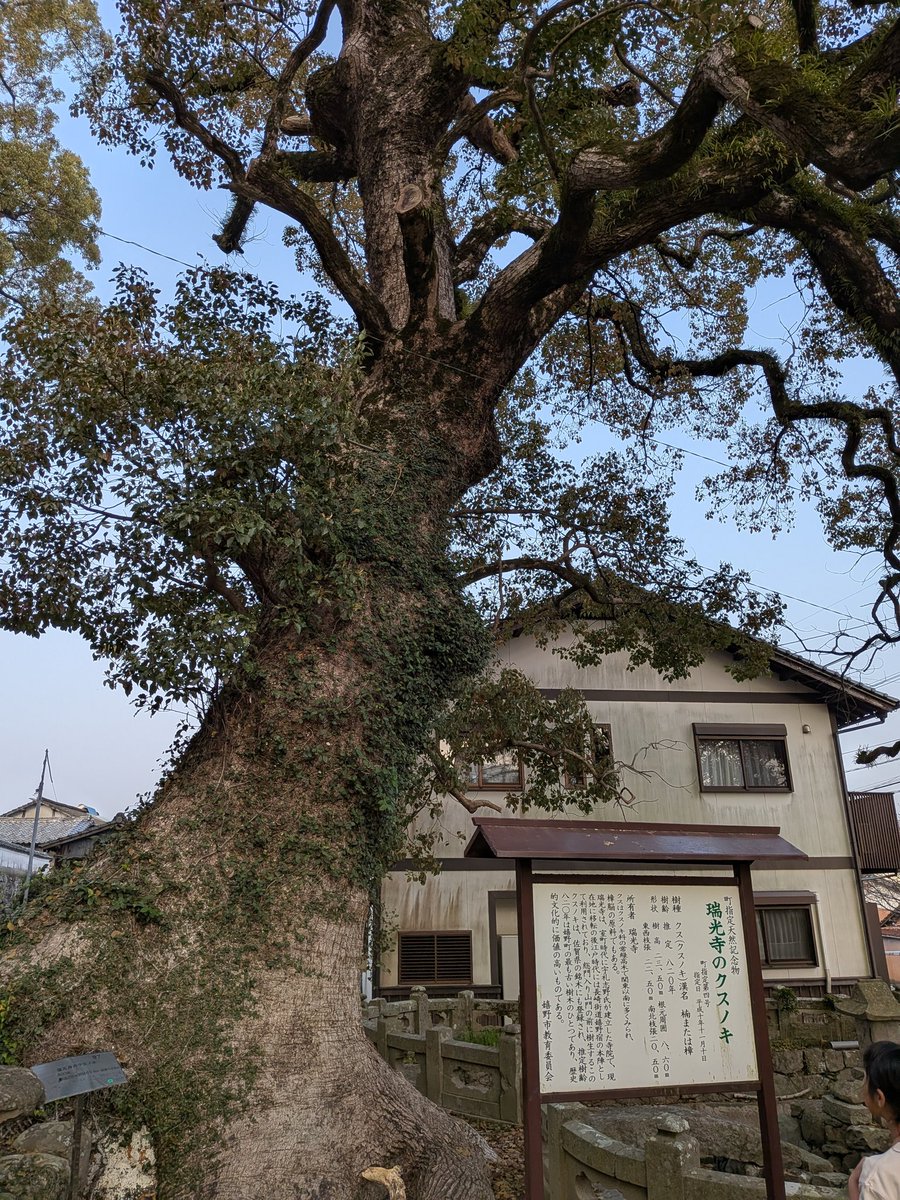 中橋 愛生（なかはし あいなま） tweet media