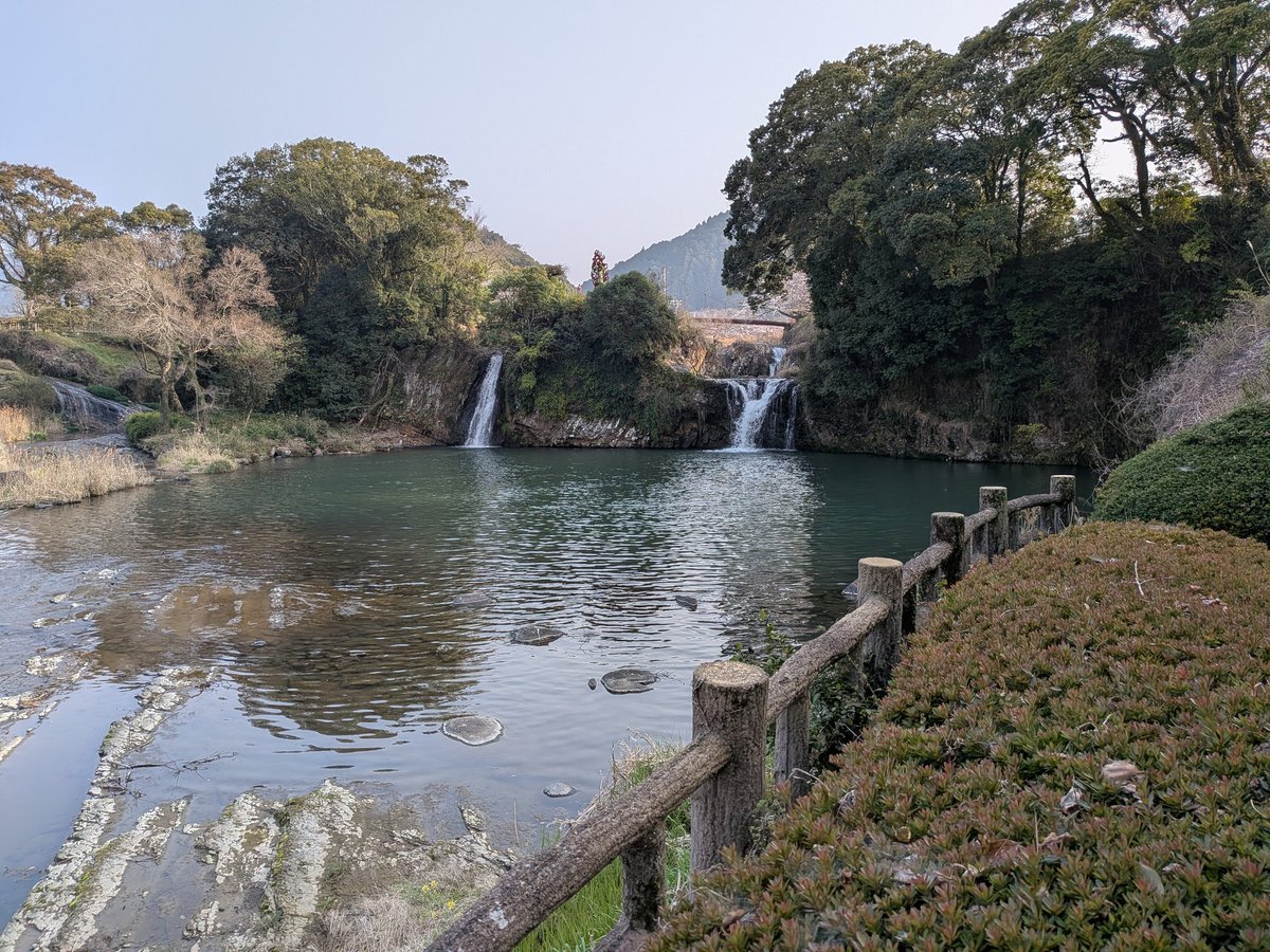 中橋 愛生（なかはし あいなま） tweet media