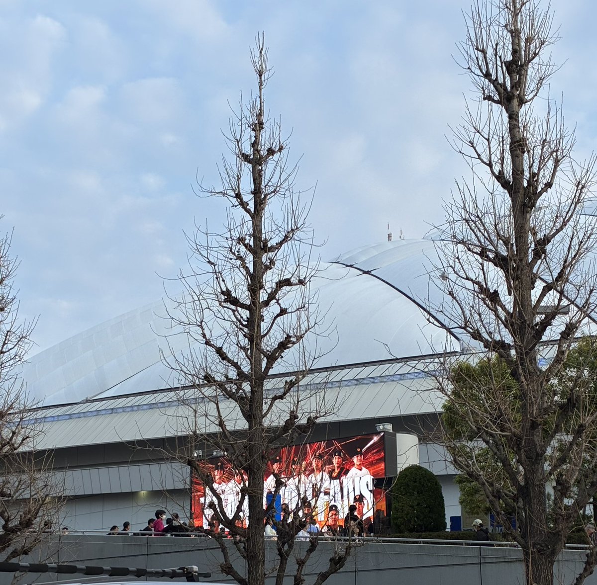 ミモザ★Tokyo tweet media