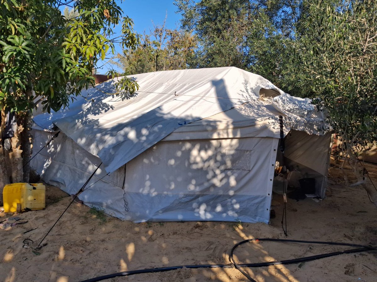 majdy_mutlak2's tweet photo. Hi, I’m Majdy, 17 years old from Gaza. My family and I live in a fragile tent after losing our home. We urgently need support. Please consider donating or sharing our GoFundMe link. Thank you 🙏https://t.co/gUm0WR2LtB https://t.co/igbEQphG9j