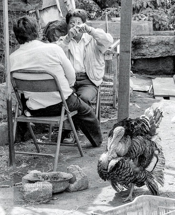 Real World Photographs tweet media