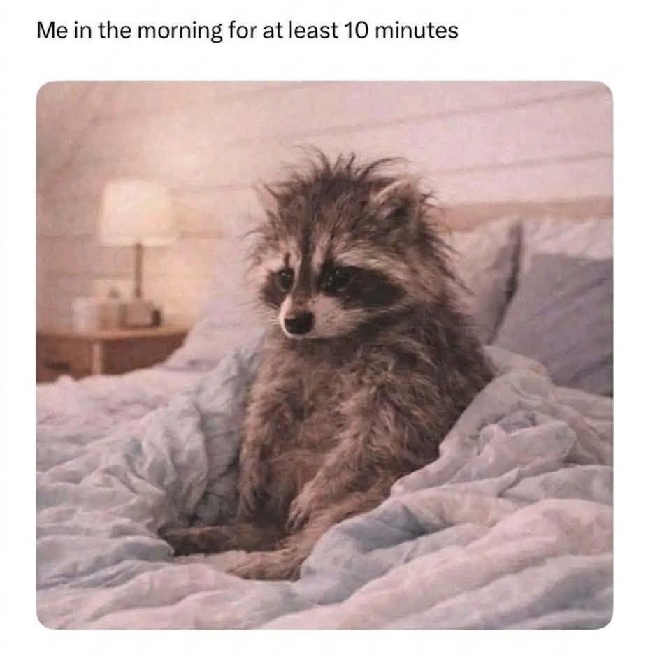 💯👊Russell👊💯 tweet media