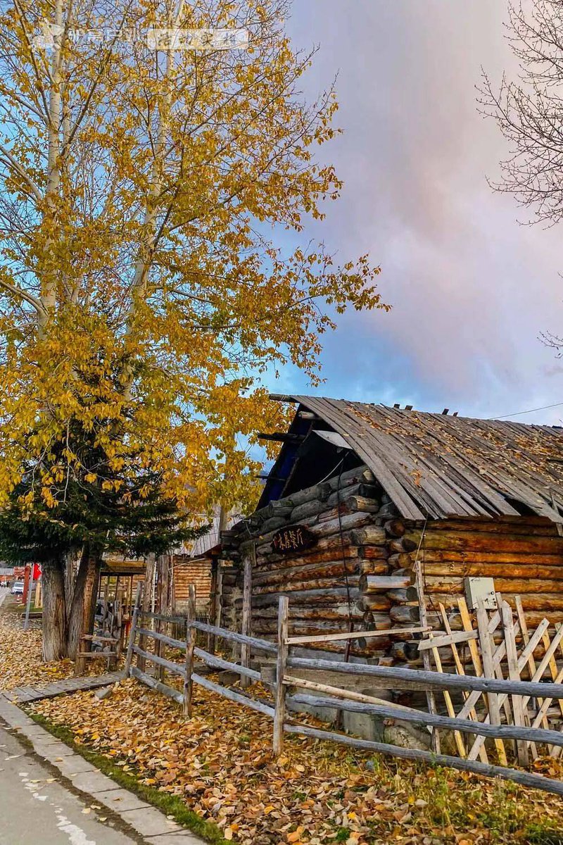 Necxes der Krusnik tweet media