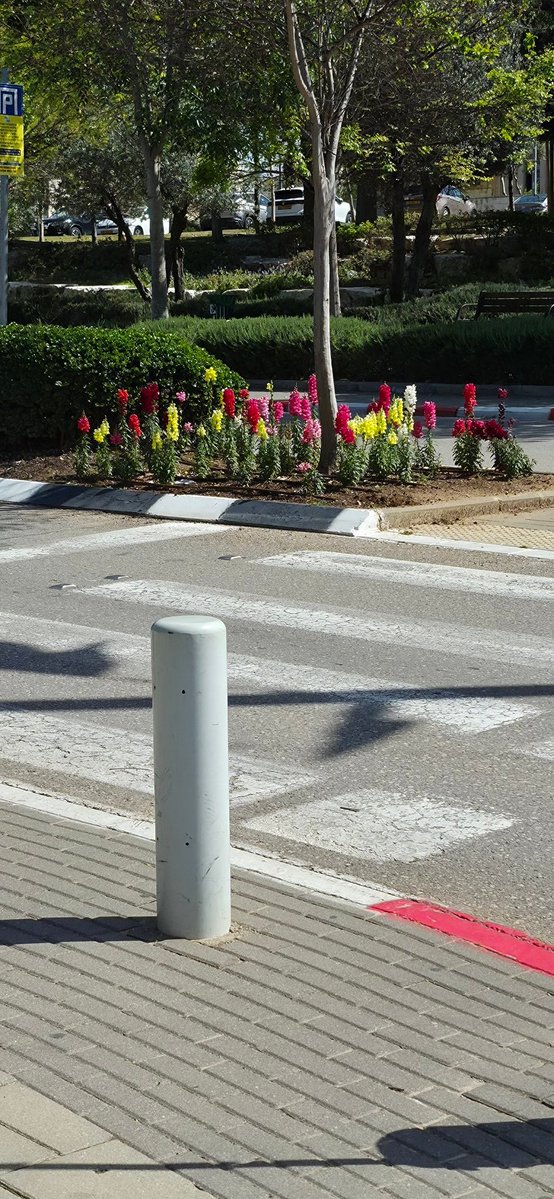 Eldad Shetrit tweet media