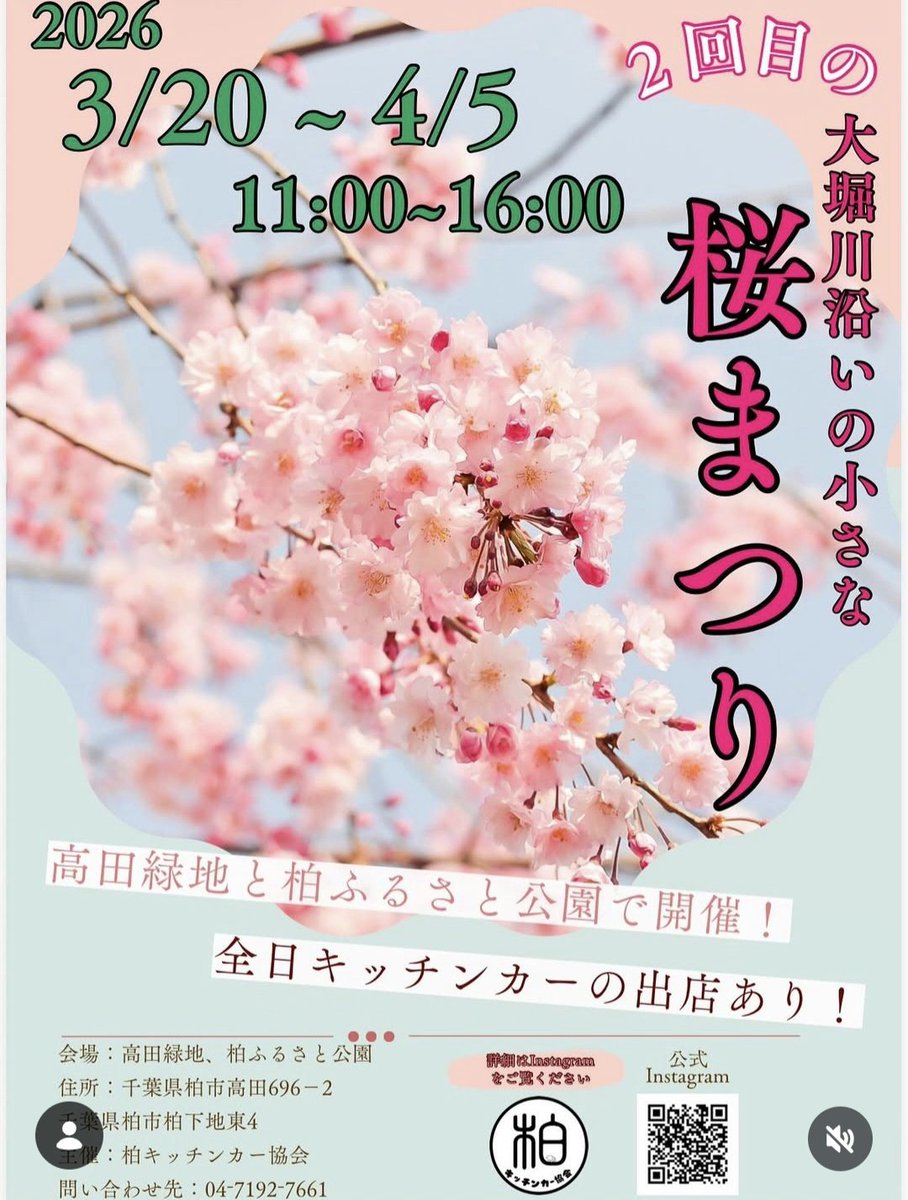 Delicious_Door's tweet photo. 明日はあの柏ふるさと公園
お花見だよーーー🌸 https://t.co/AnW2EcKo7T