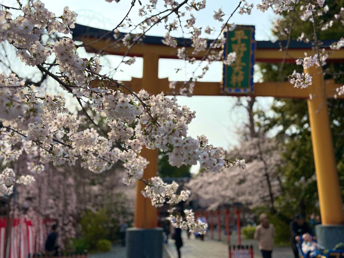 CRISS-CROSS / さぶ tweet media