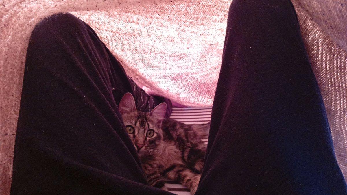 Janine Beicht tweet media