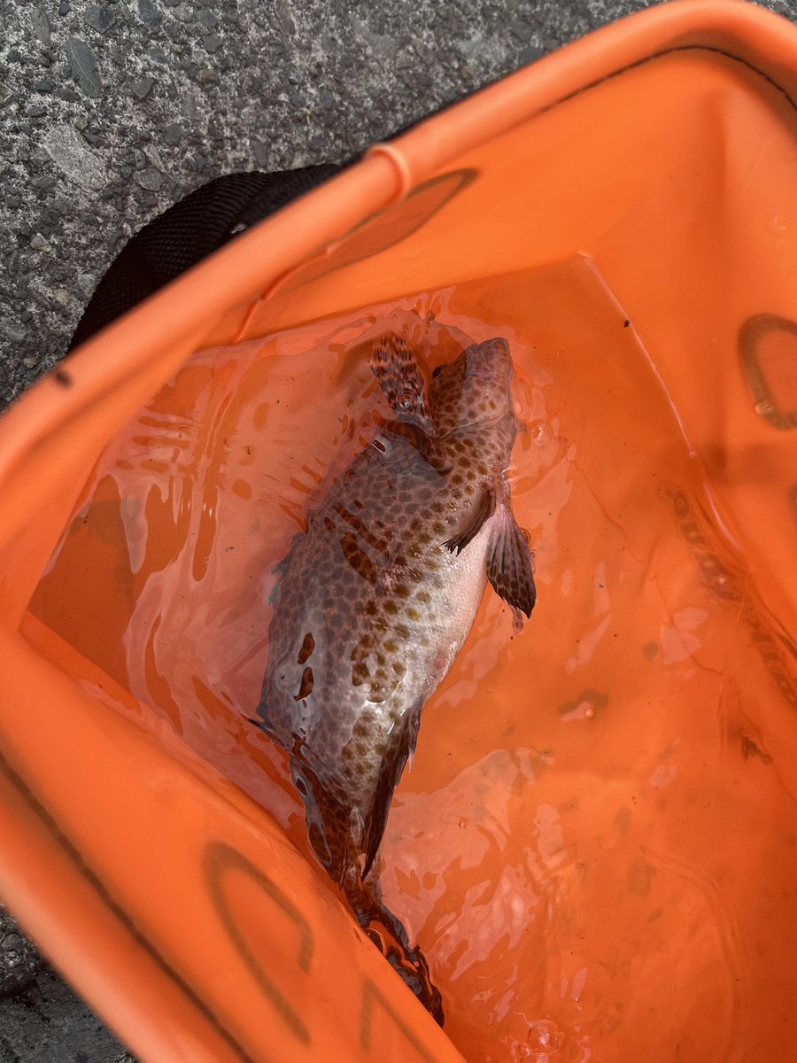 いつまでも楽器 tweet media