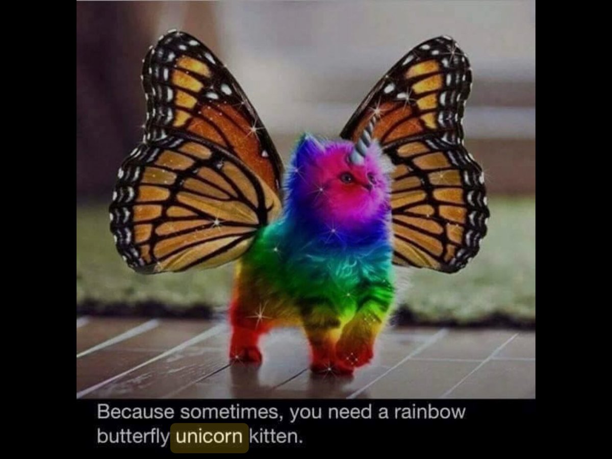 loosemum's tweet image. I found this #unicorn amongst my archives, not sure where I pinched it from but I’ve had it years, thought it suited the #DailyPictureTheme