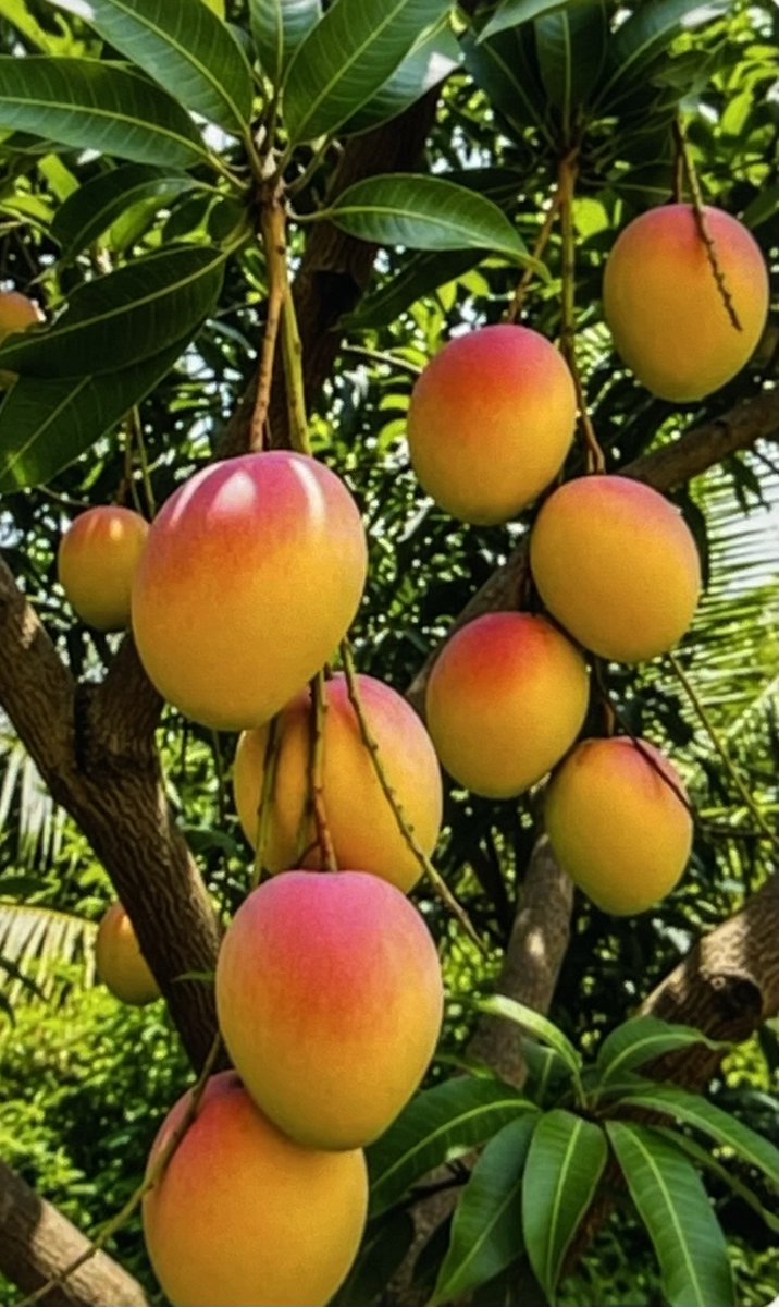 Ramon Rodriguez tweet media