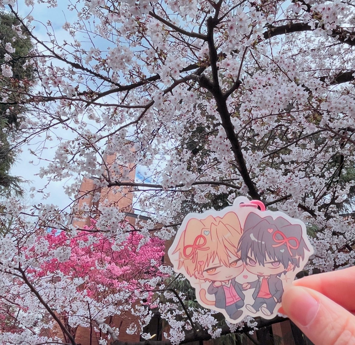 ちゅん tweet media