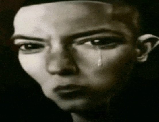 𓊆ྀིRæio𓊇ྀི🦙🫧🩷🪽🪷🦄🩵 tweet media