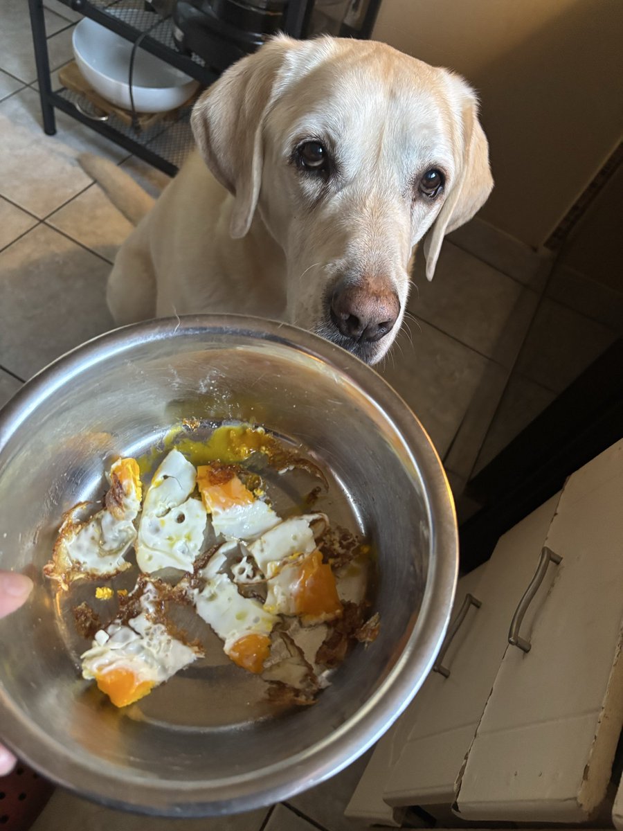 Part of the breakfast special today was a fried egg. #Yummy A great start to the day! Happy Saturday pals!
