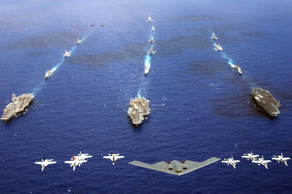 Diplodocus news tweet media