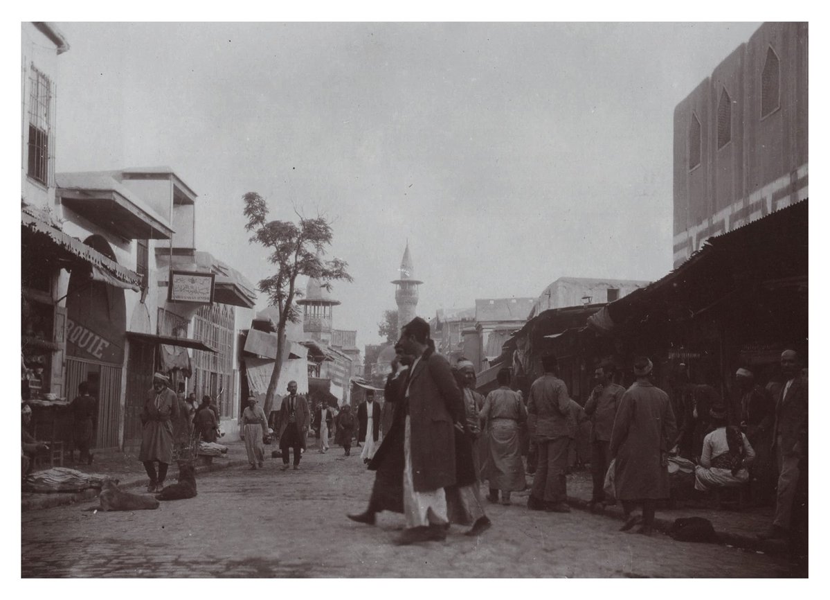 jaret alaassi tweet media