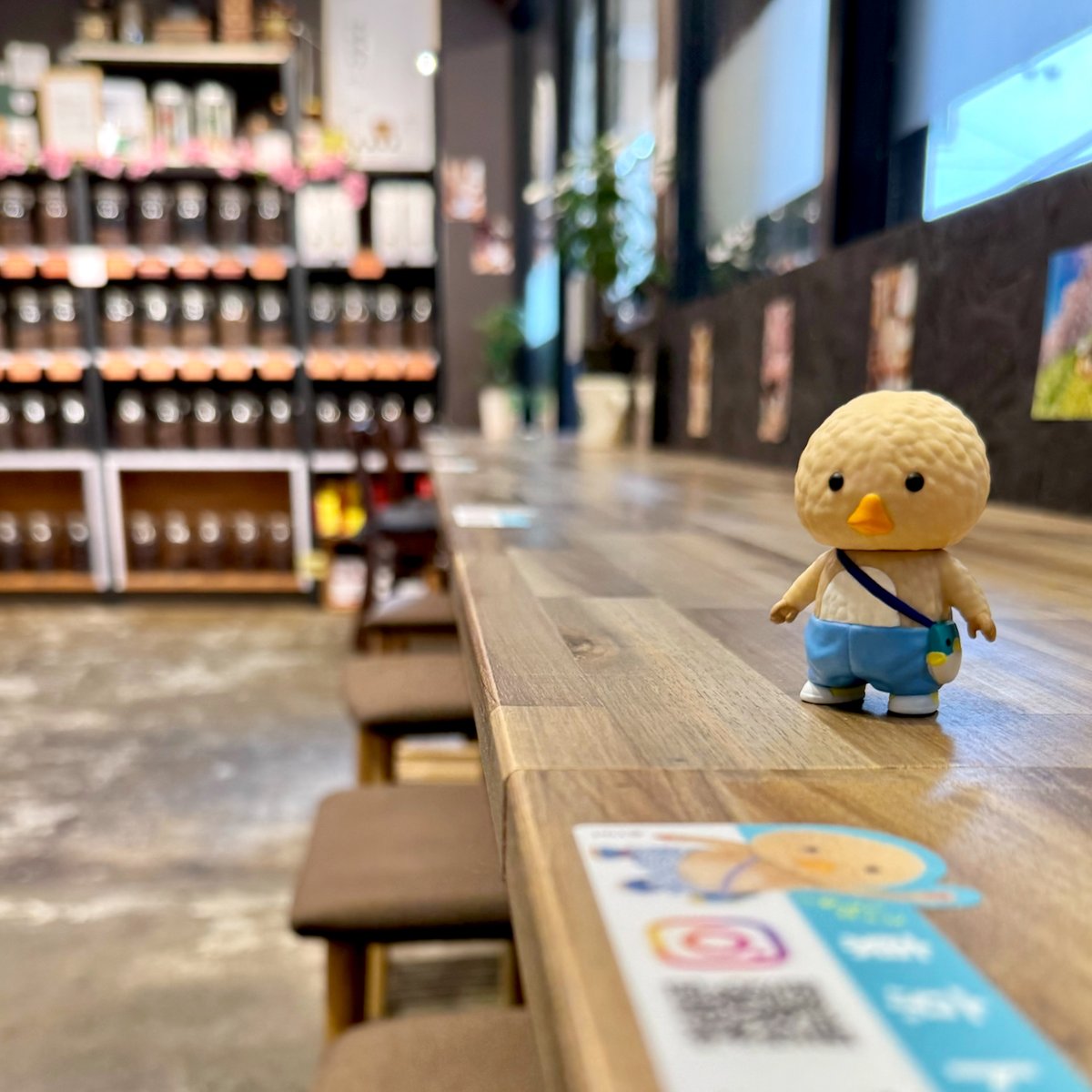 トガリちゃんねる tweet media