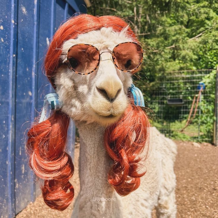 Kamil | Post-Kino tweet media