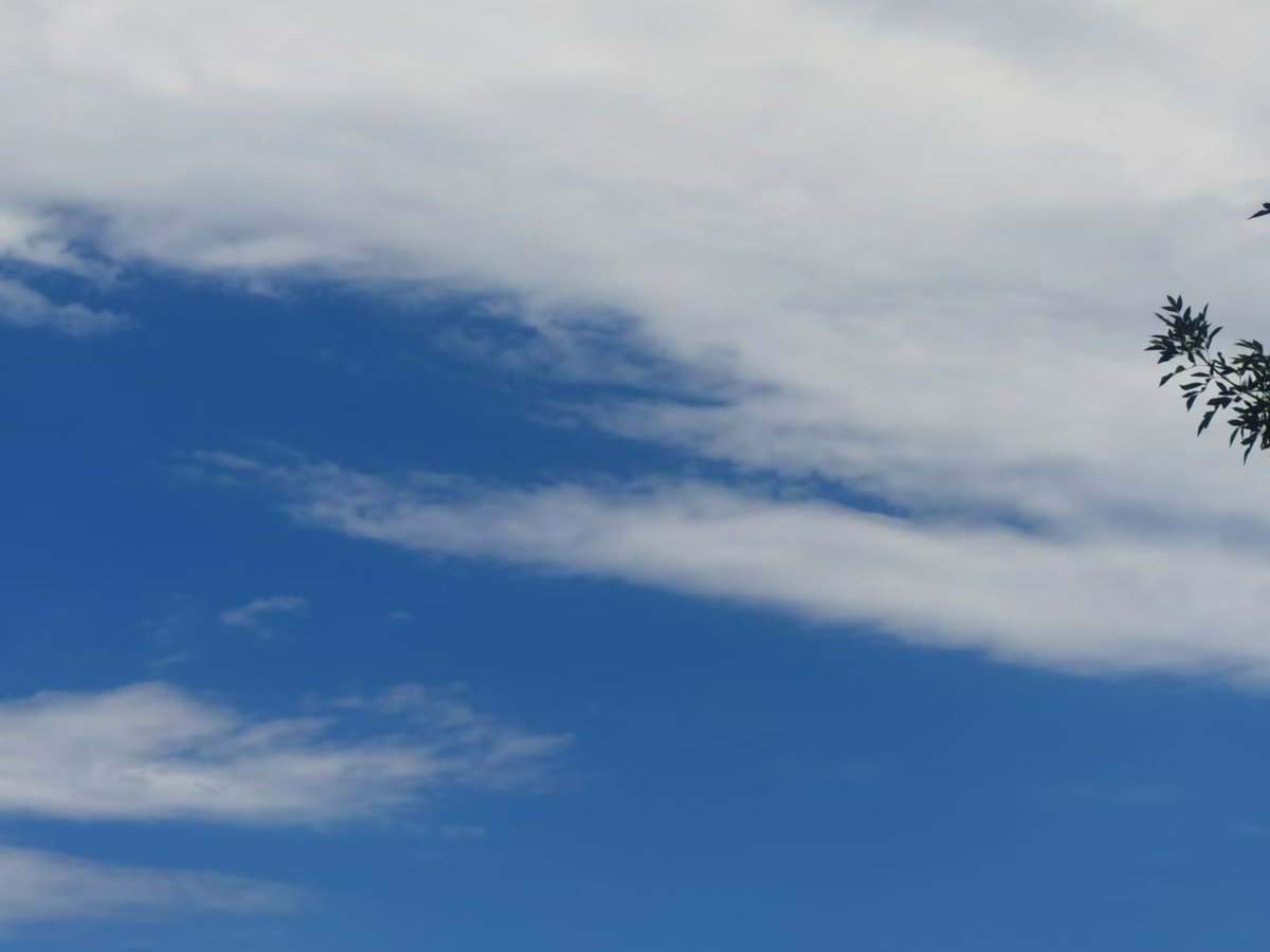 Jump-in Land tweet media